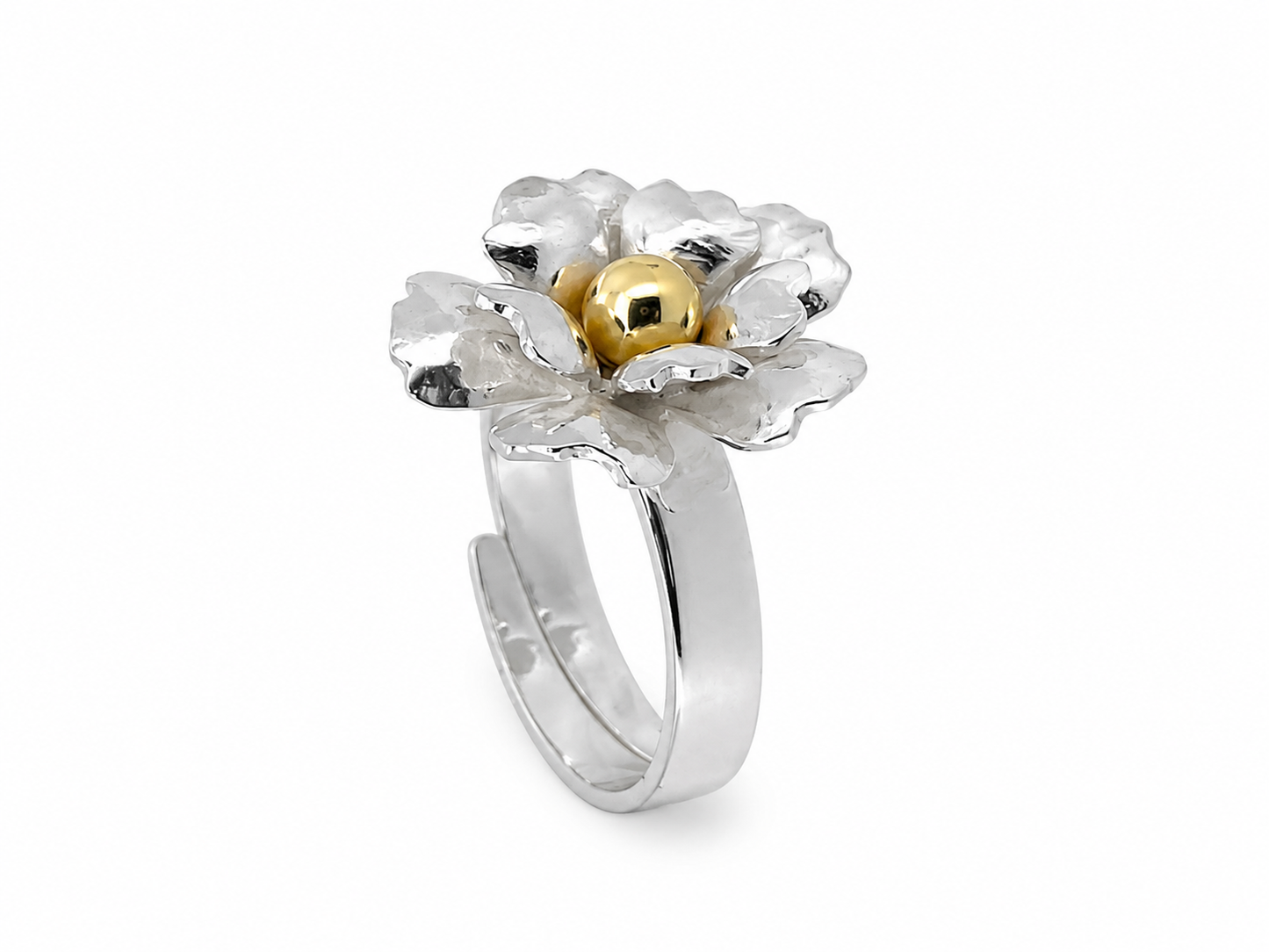 Ring mångfald