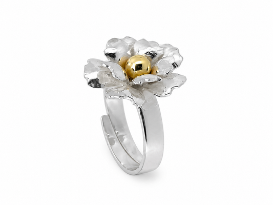 Ring mångfald